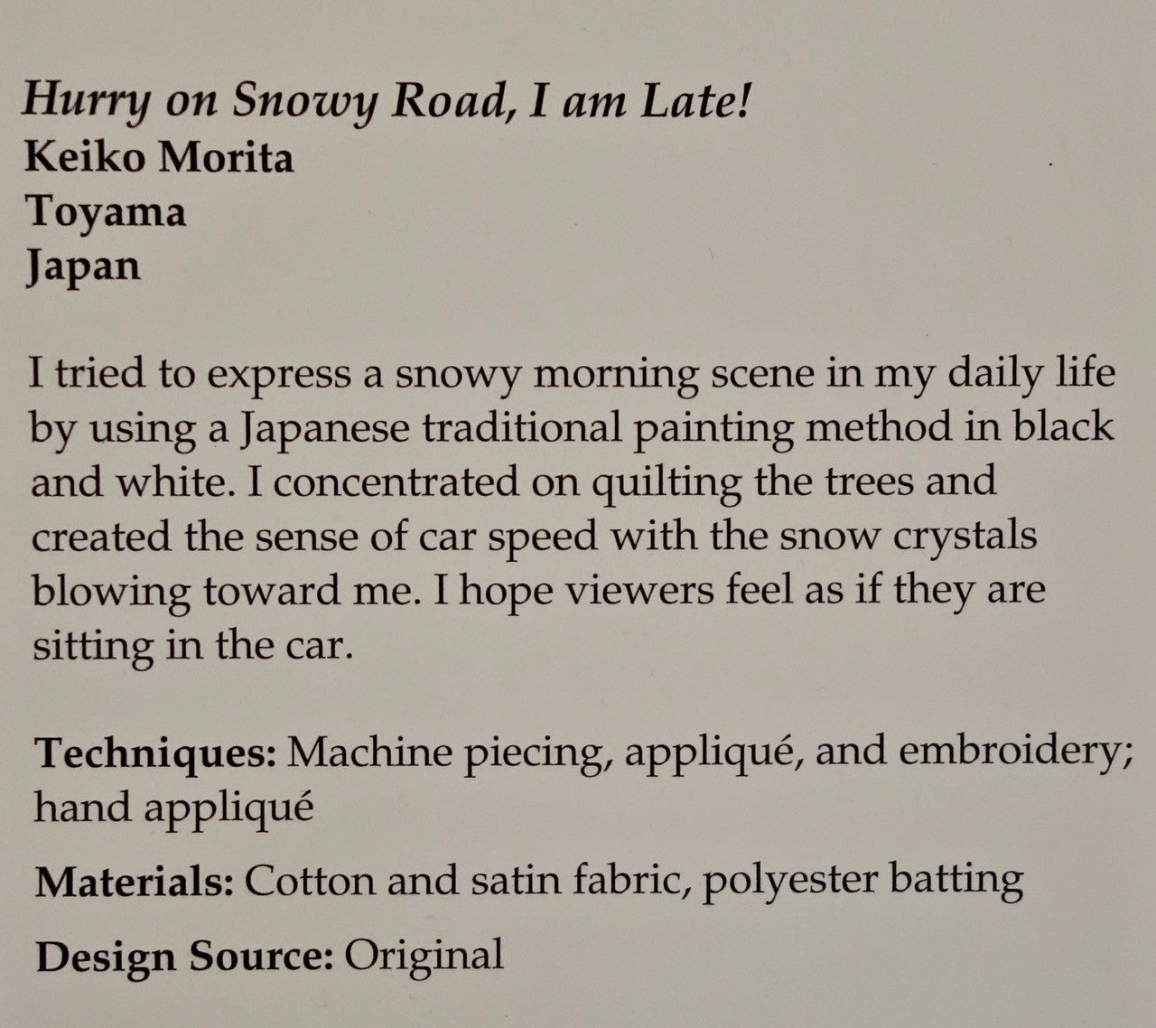 Hurry on Snowy Road, I am Late!