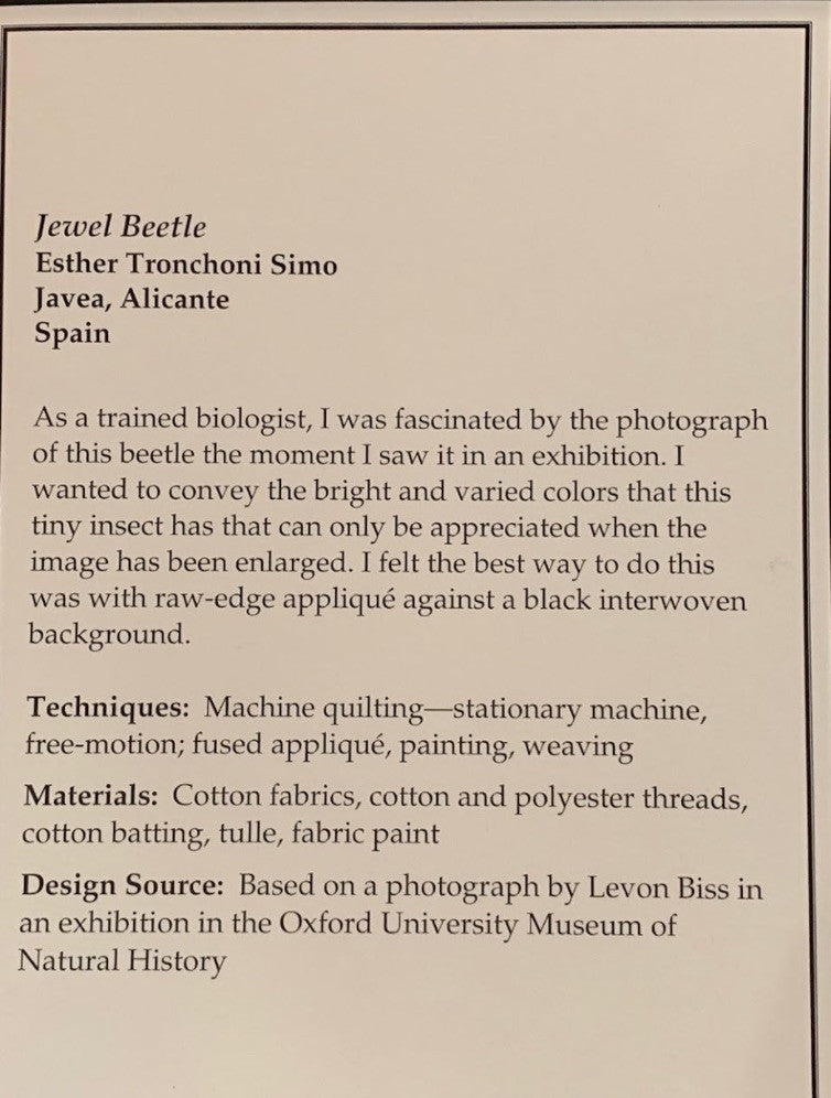 Jewel Beetle