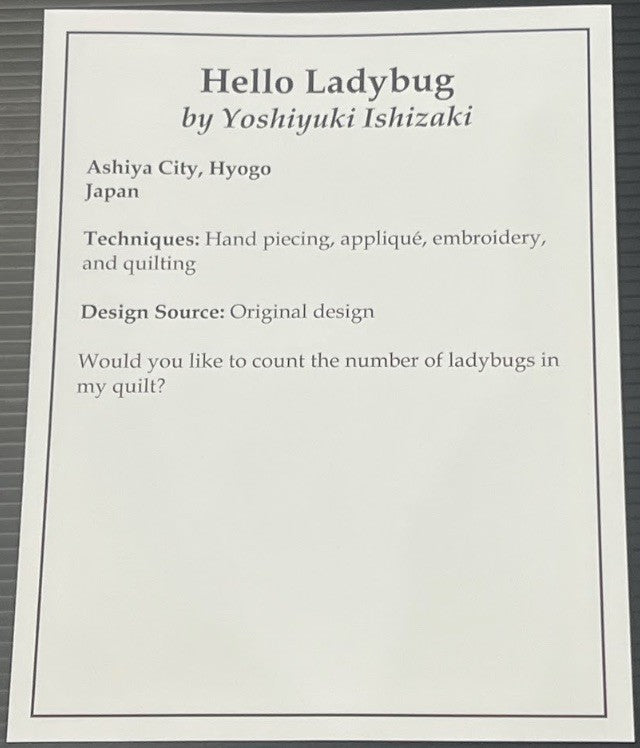 Hello Ladybug