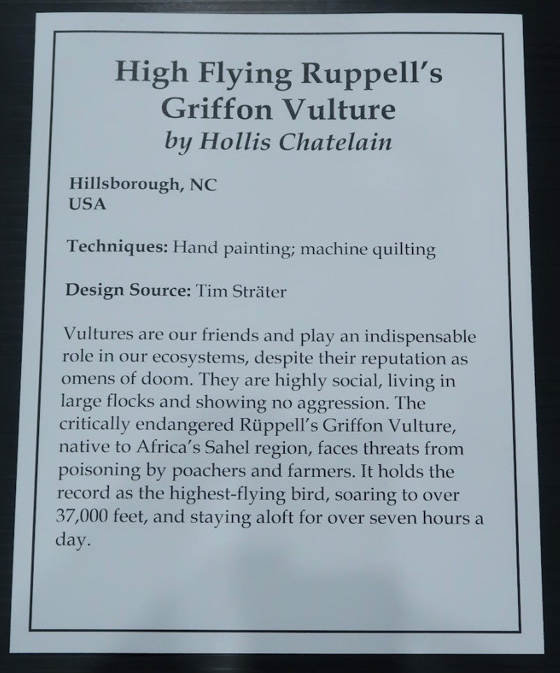 High Flying Rüppell's Griffon Vulture