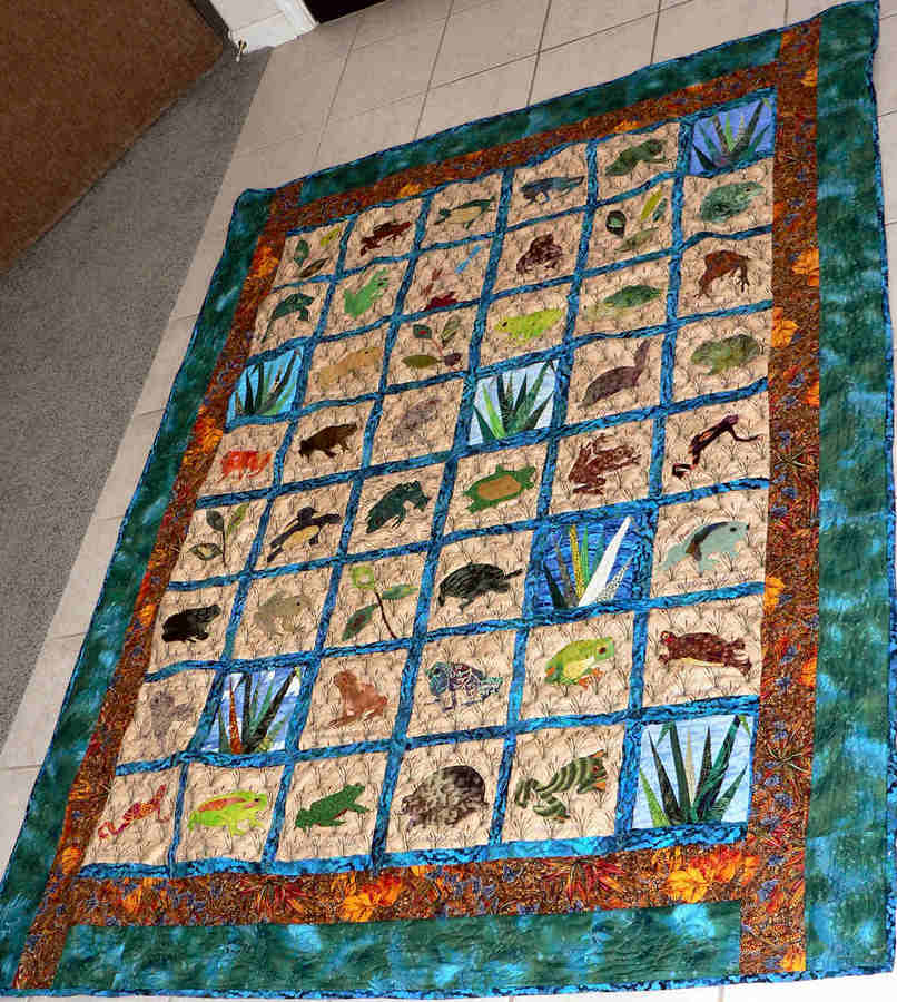 Frogs and Toads and Turtles, Oh My!