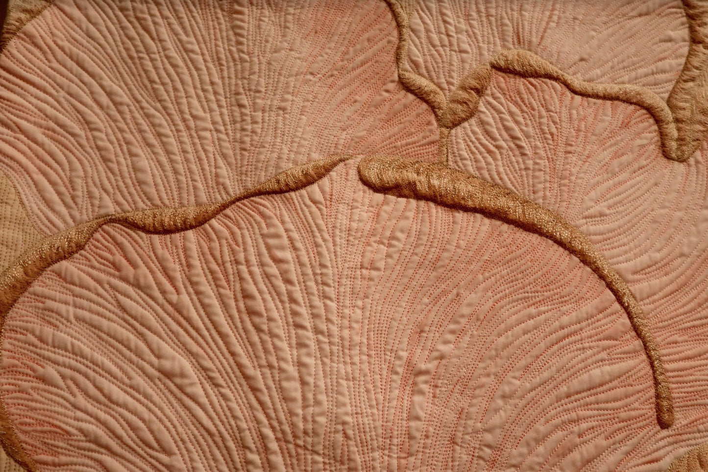 Pink Oyster Mushrooms