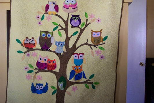 Baby's Owls