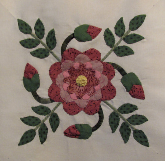 Iowa Rose "touch me" block