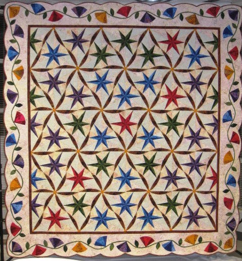 River Valley Quilter's 2010 Raffle Quilt