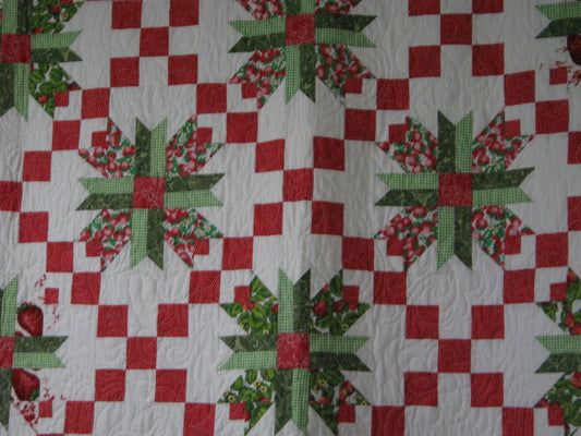 Strawberry Meadow Lily
