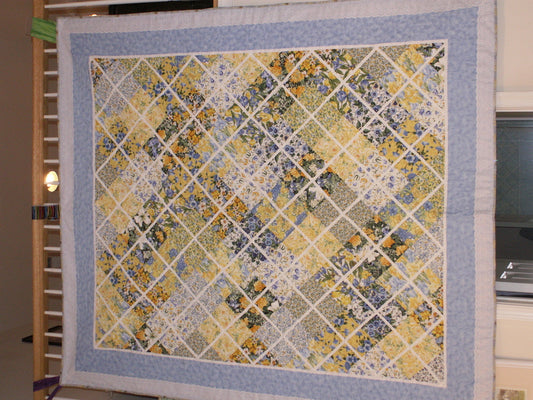 My Blue and Yellow Flower Garden