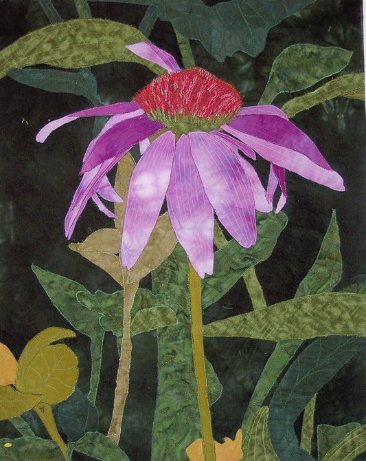 Purple cone flower