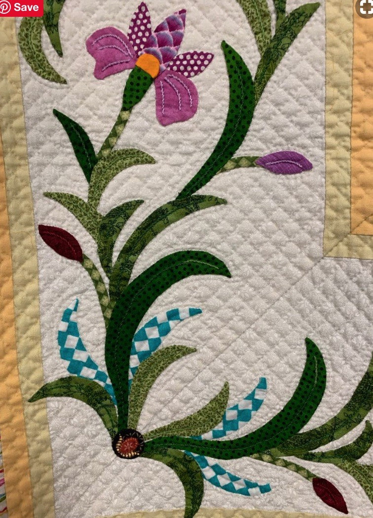 Iris