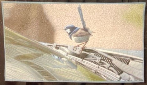 Curious Australian Bird