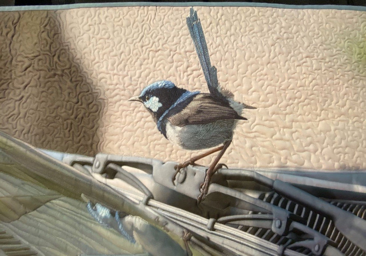 Curious Australian Bird
