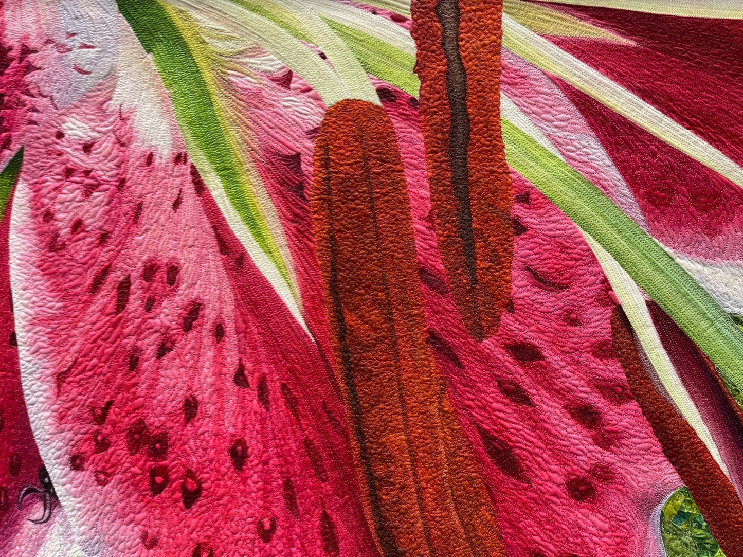 Stargazer Splendor