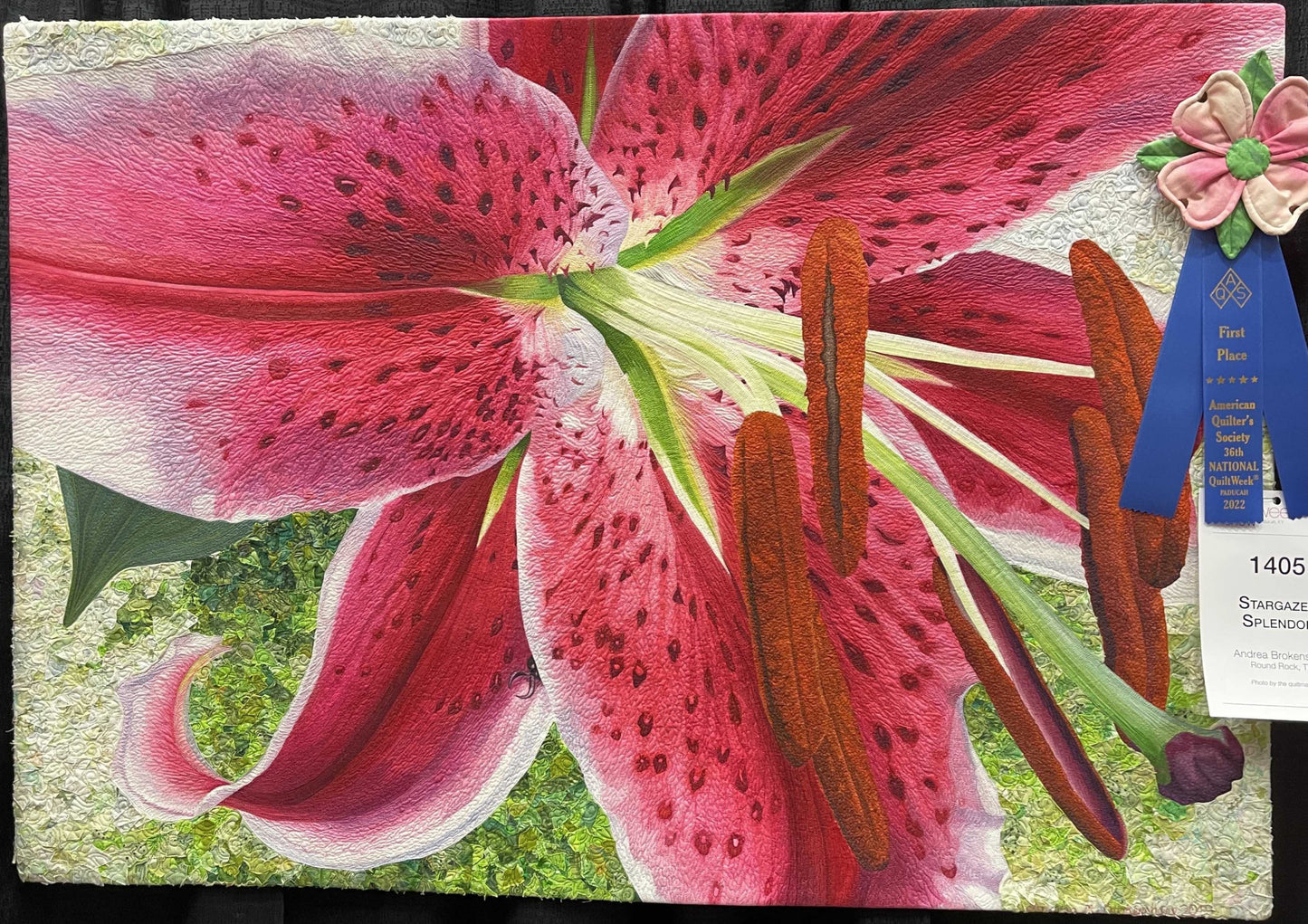 Stargazer Splendor