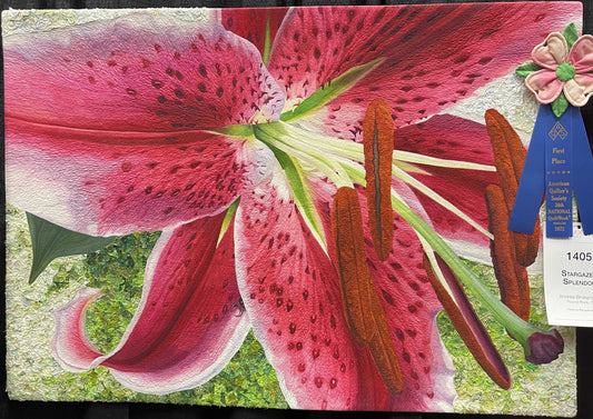 Stargazer Splendor