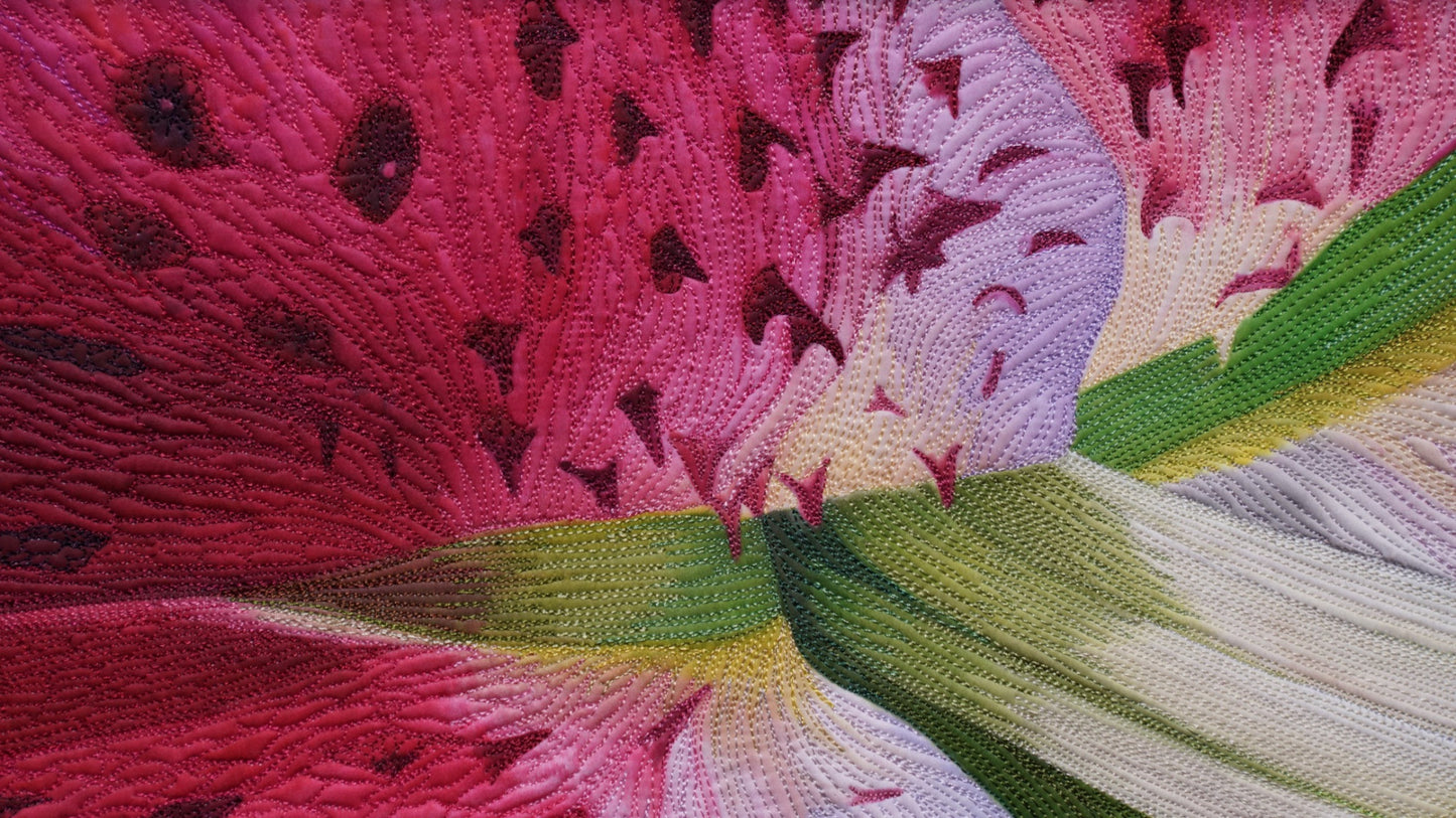 Stargazer Splendor