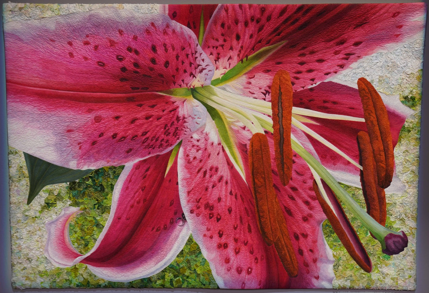 Stargazer Splendor