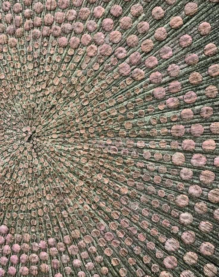 Dual Spirals