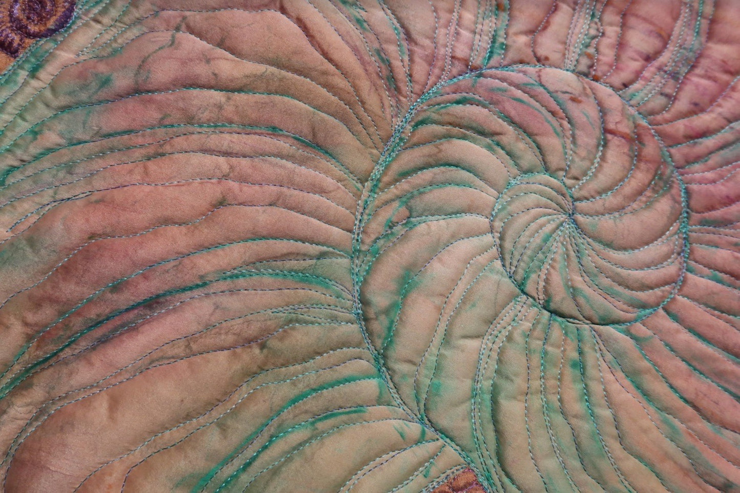 Ammonite Garden II
