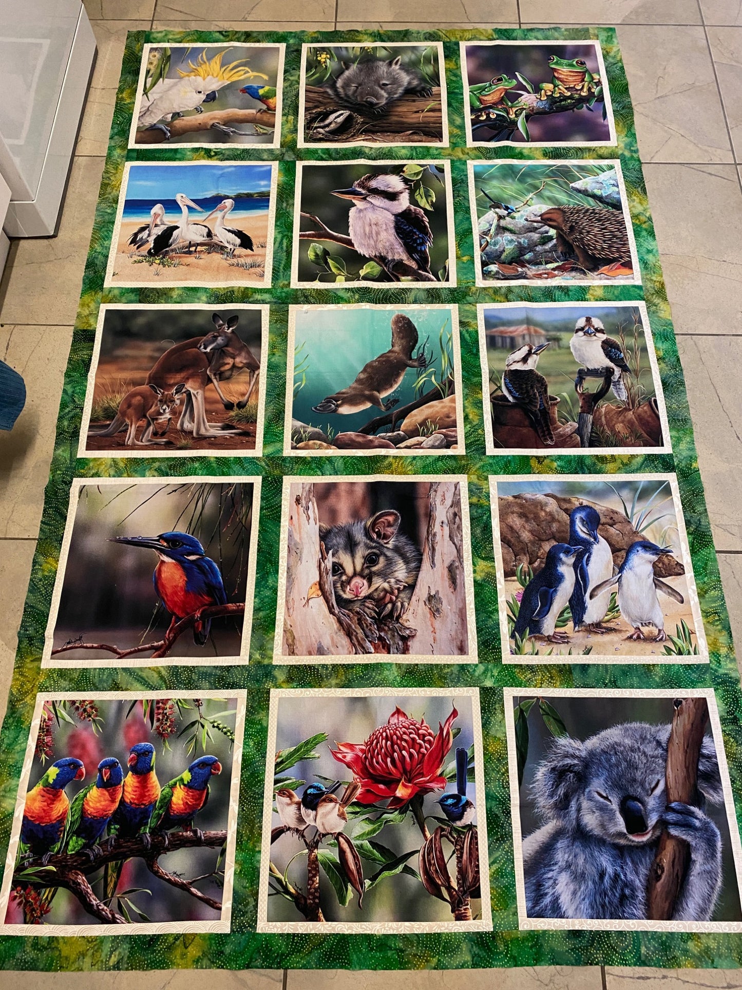 Australian Animals