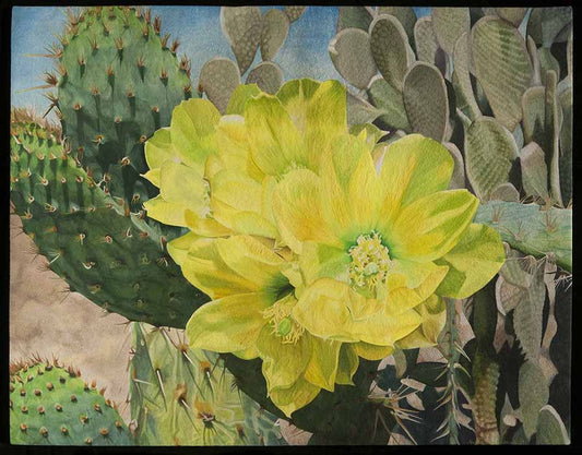 Desert In Spring