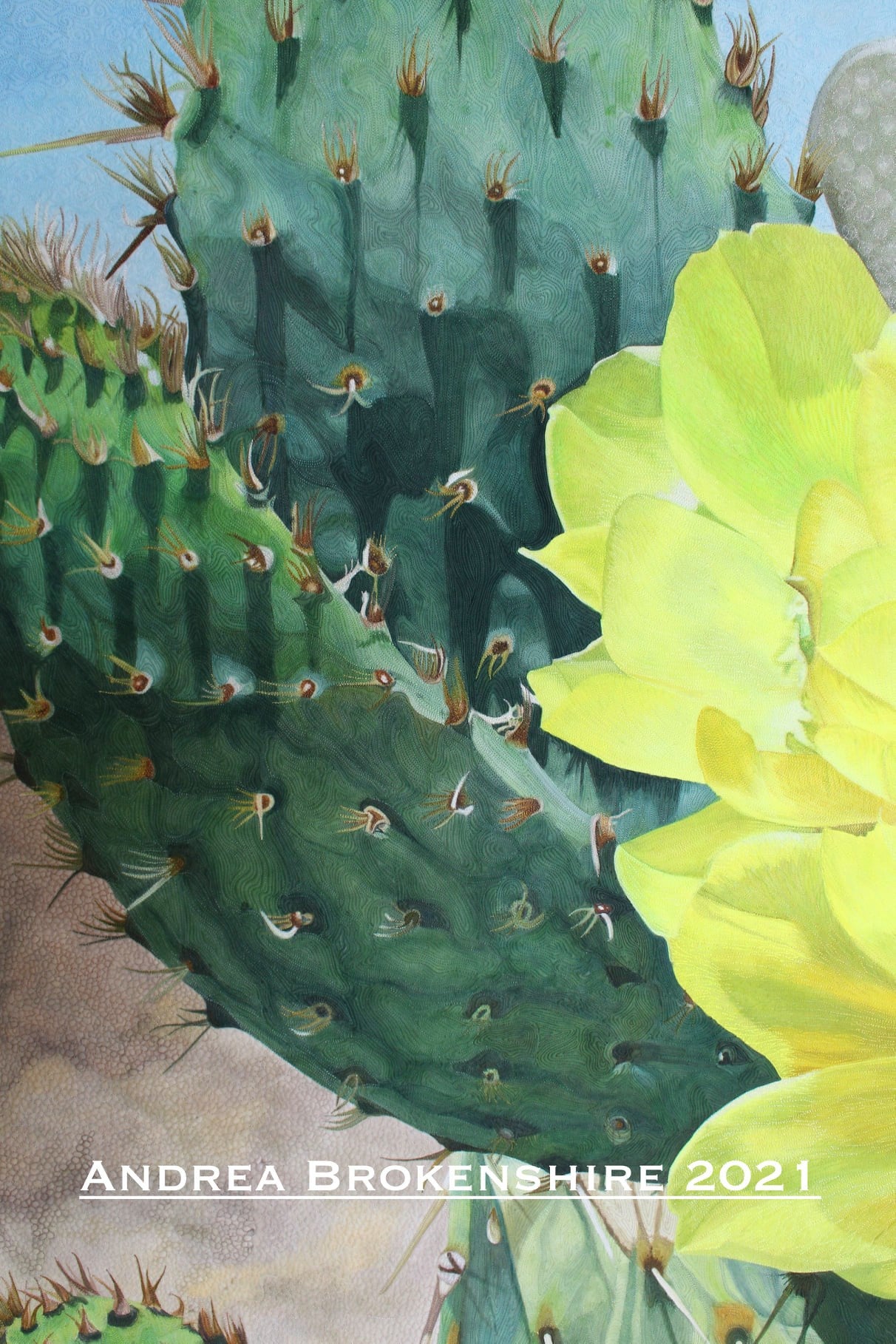 Desert In Spring