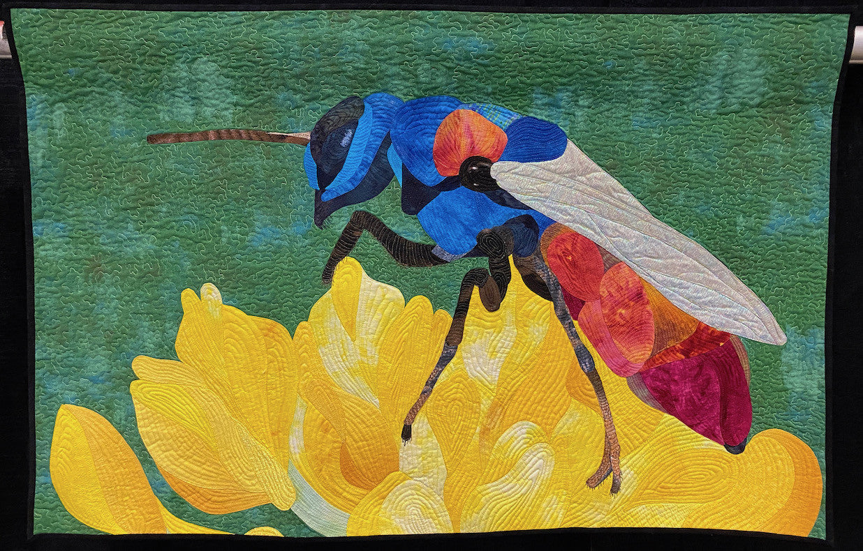 David's Wasp