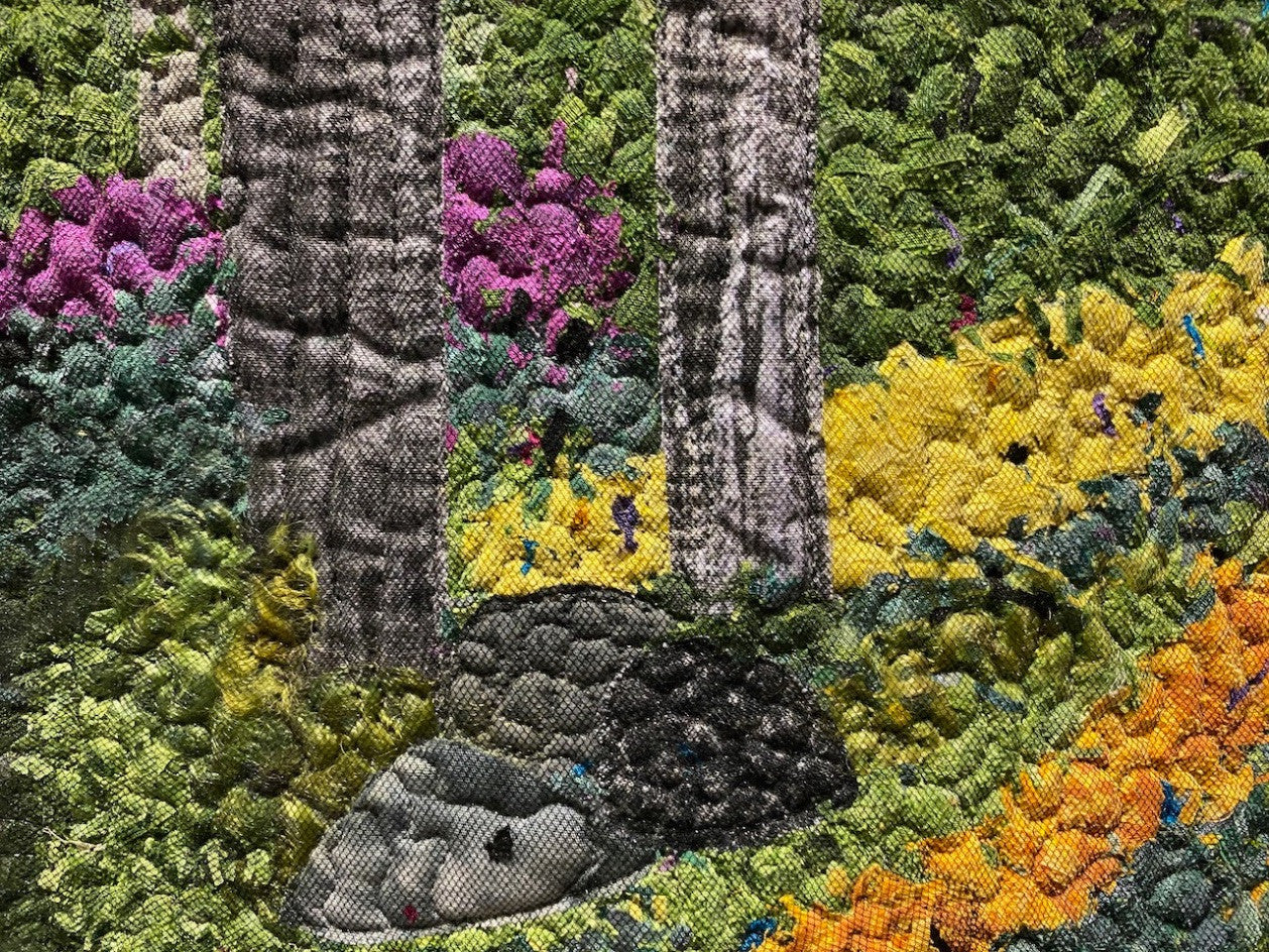 Tulip Splendor