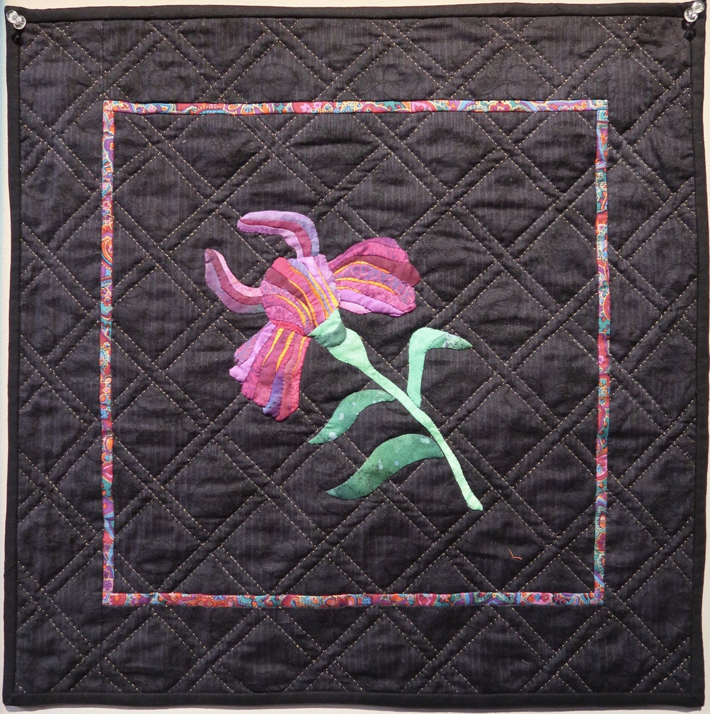 Iris