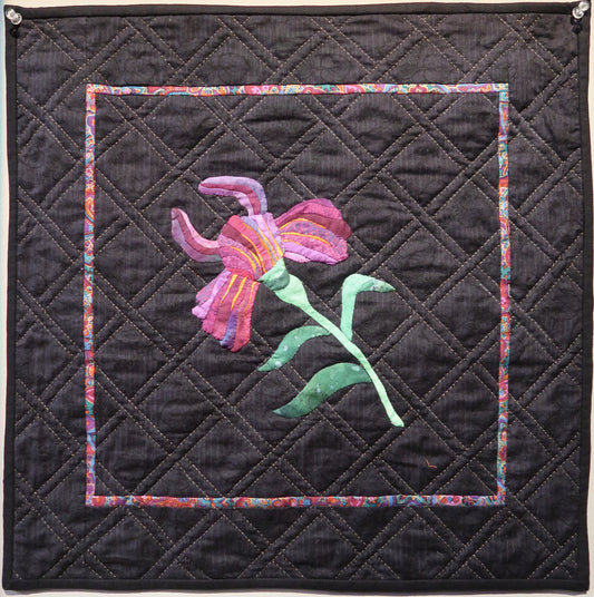 Iris