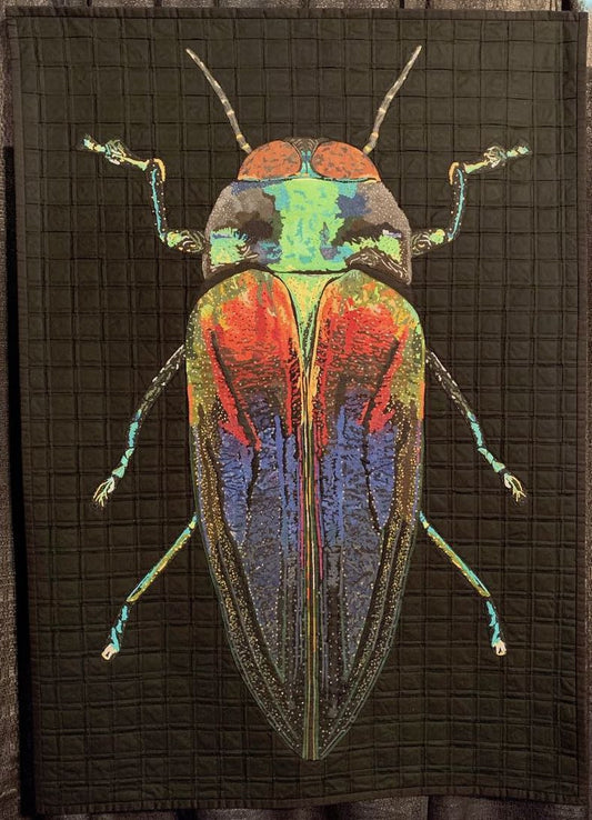 Jewel Beetle