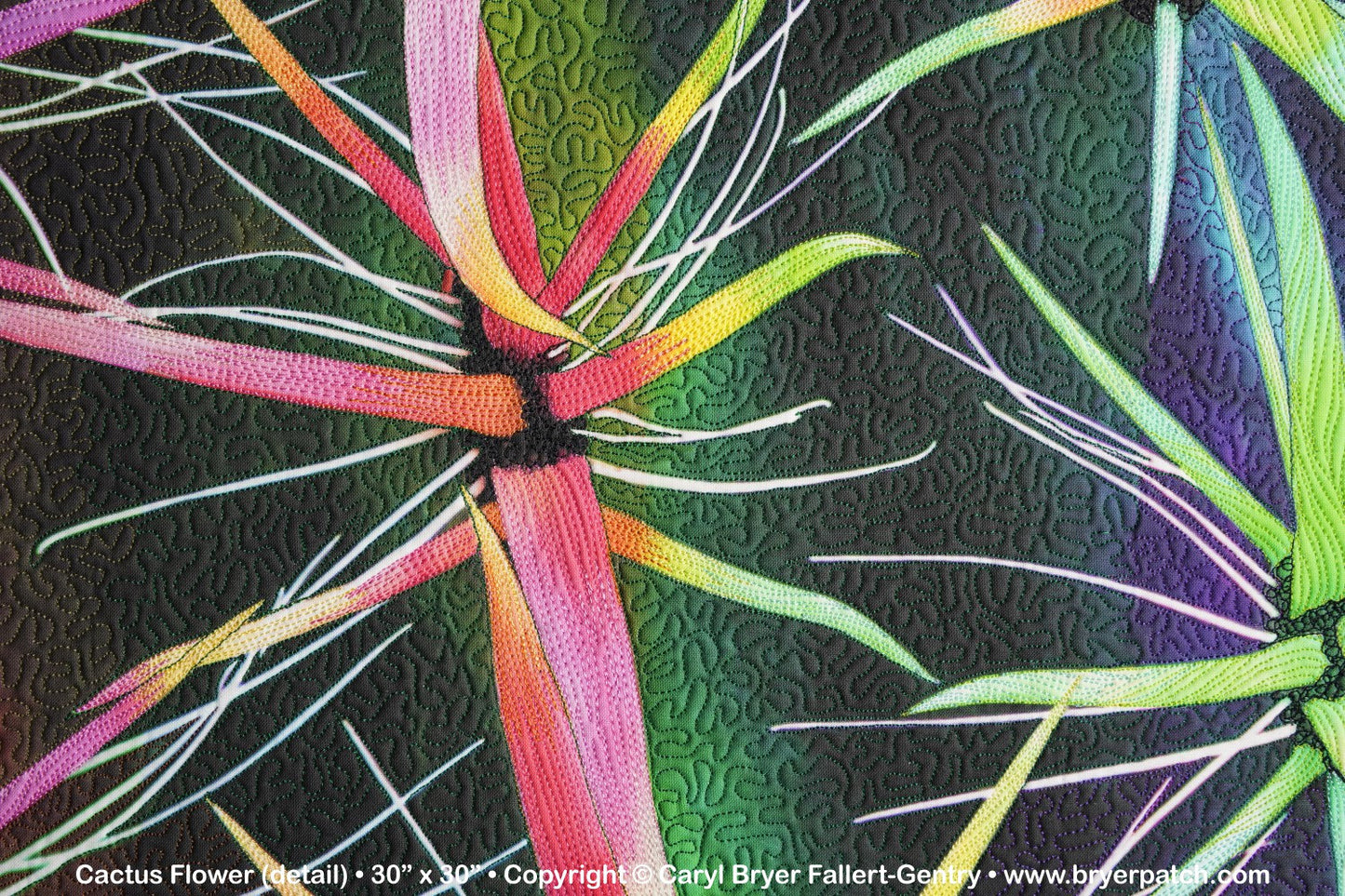Cactus Flower