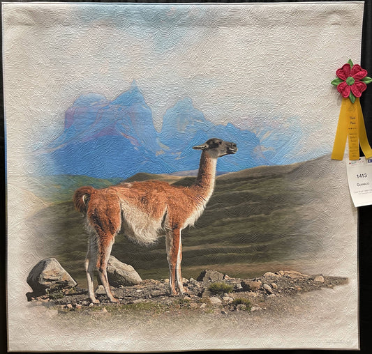 Guanaco