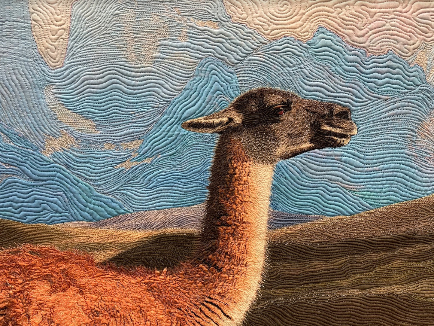 Guanaco