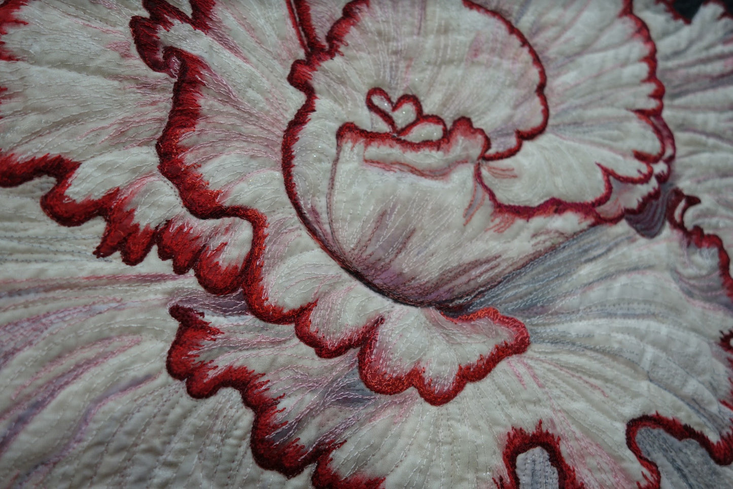 Begonia Picotee Lace