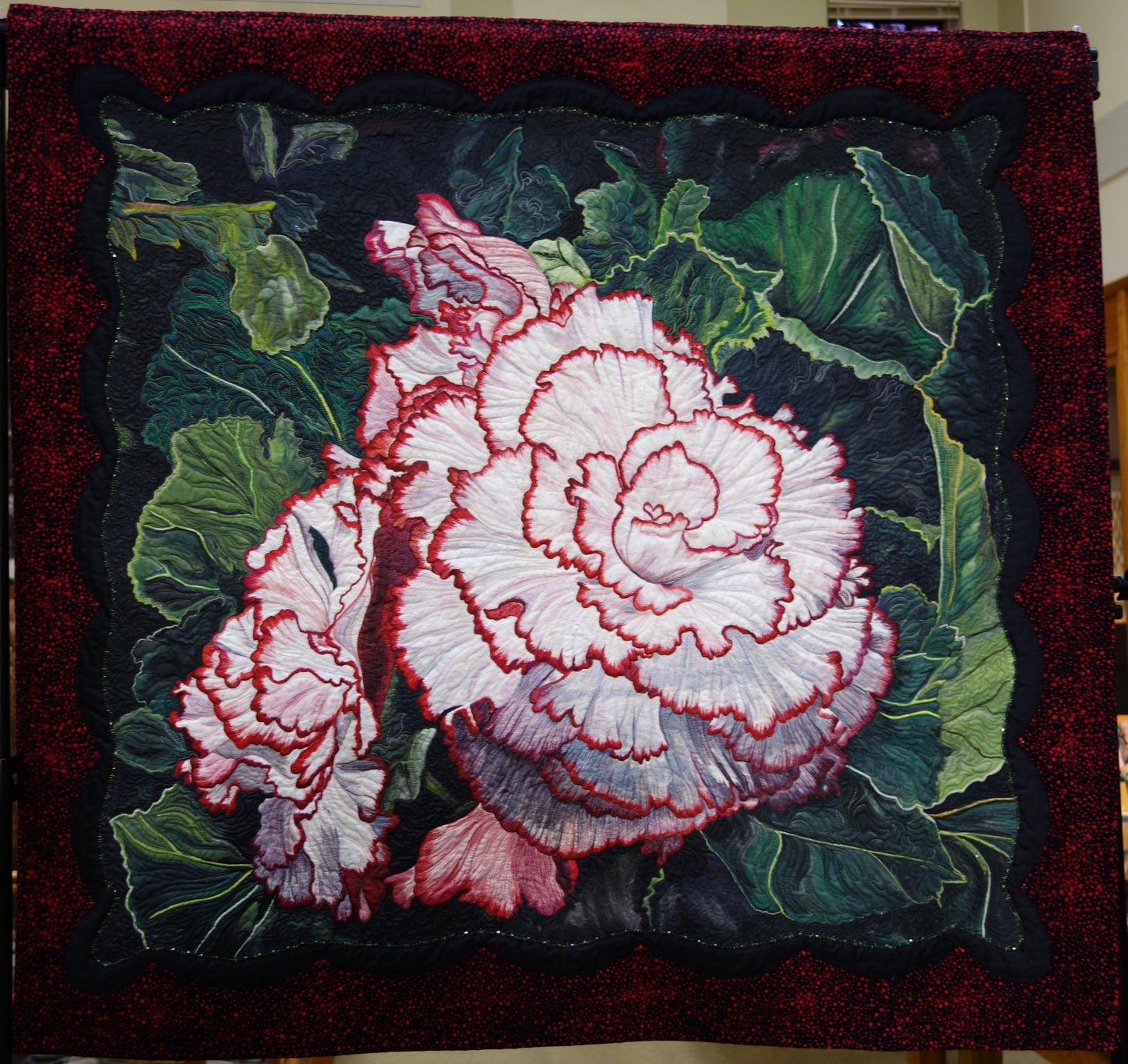Begonia Picotee Lace
