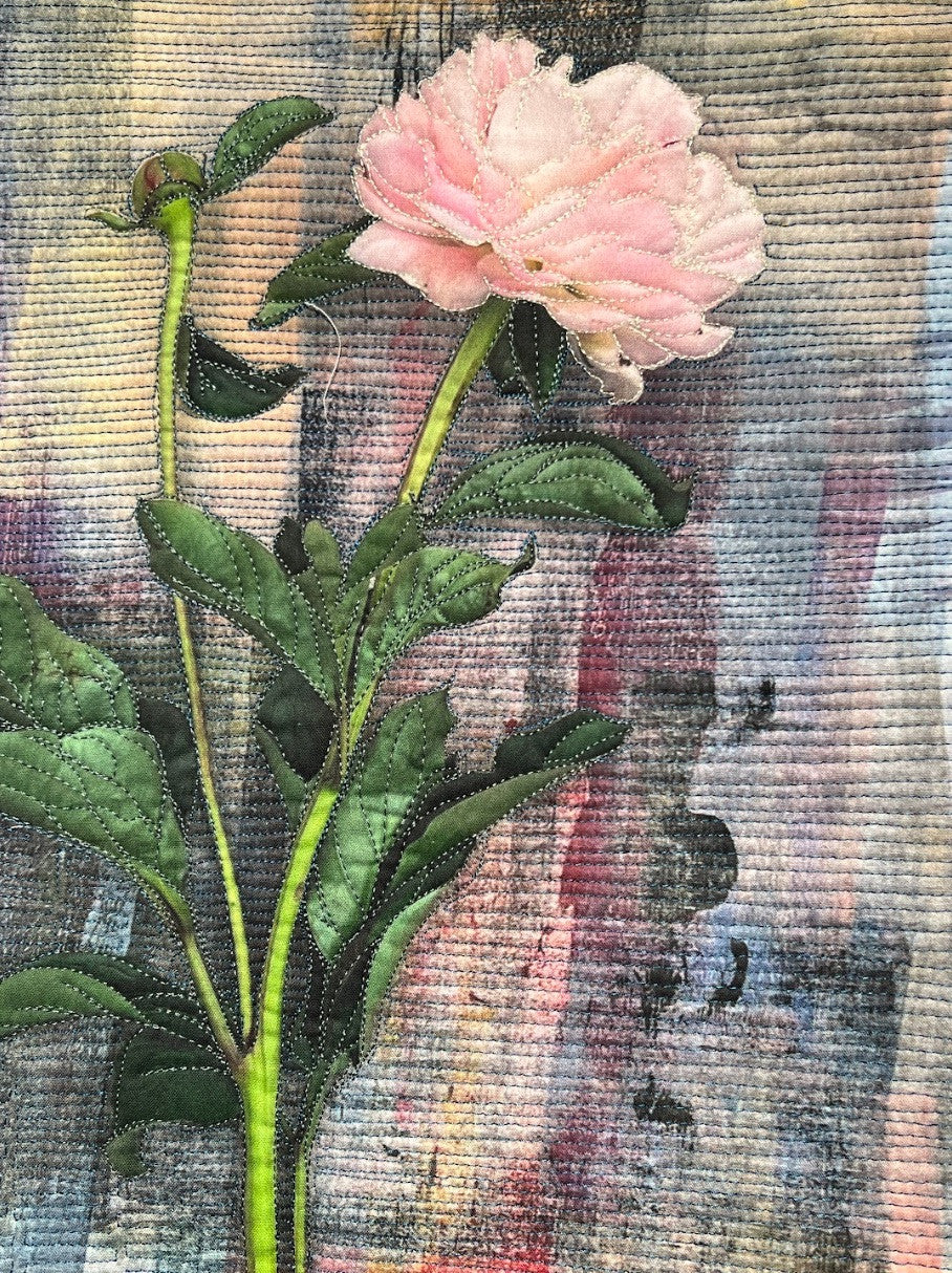 Pink Peony