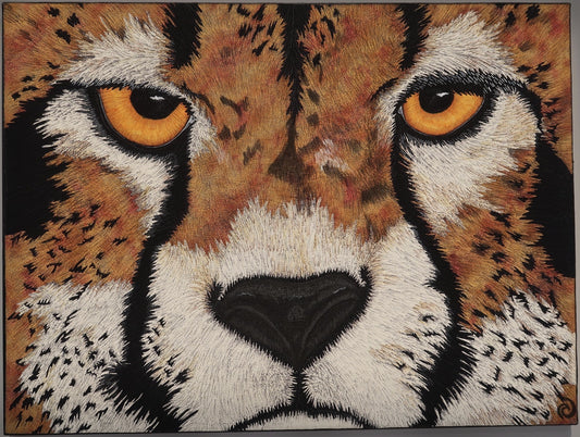 Cheetah
