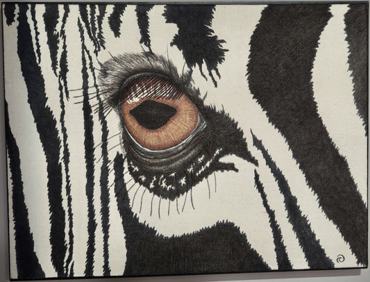Zebra