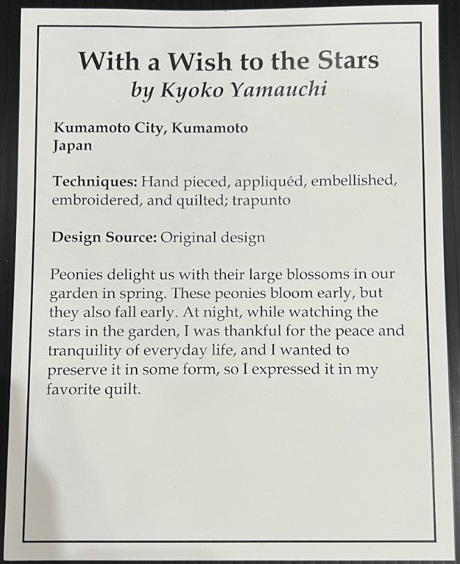 With A Wish To The Stars