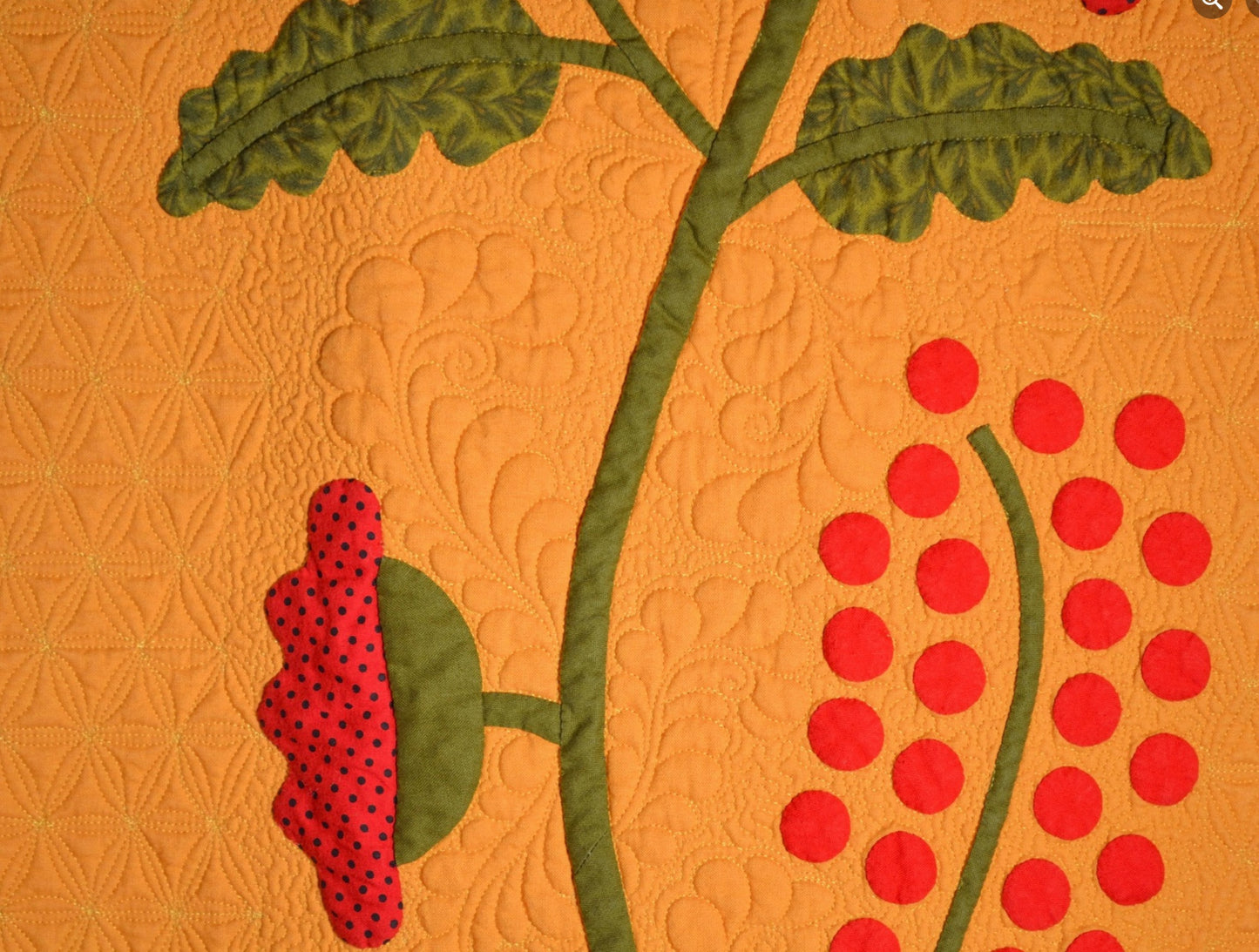 Berries In The Sun