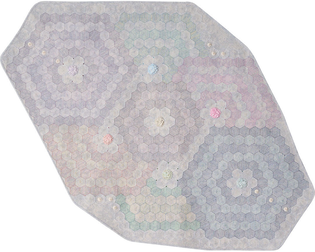 Paramecium Aurelia (Amoeba)