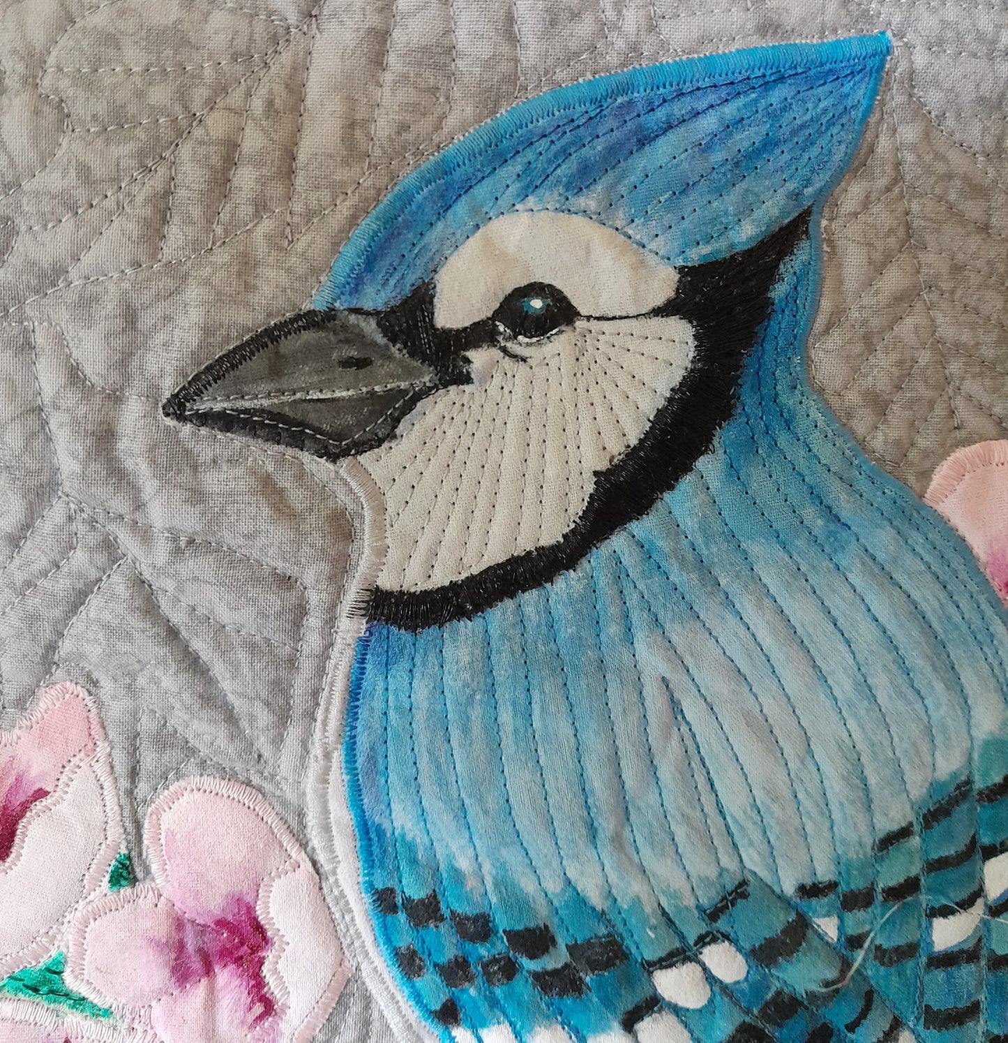 BLUE JAY BEAUTY