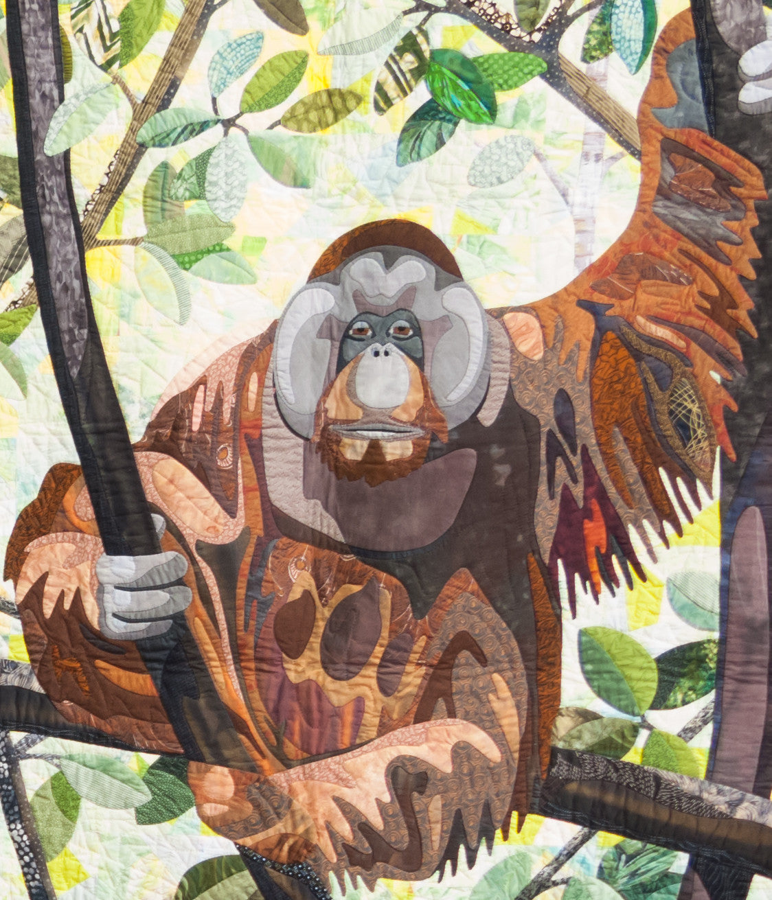 Orangutan