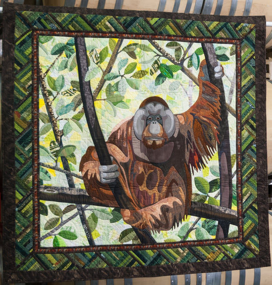 Orangutan