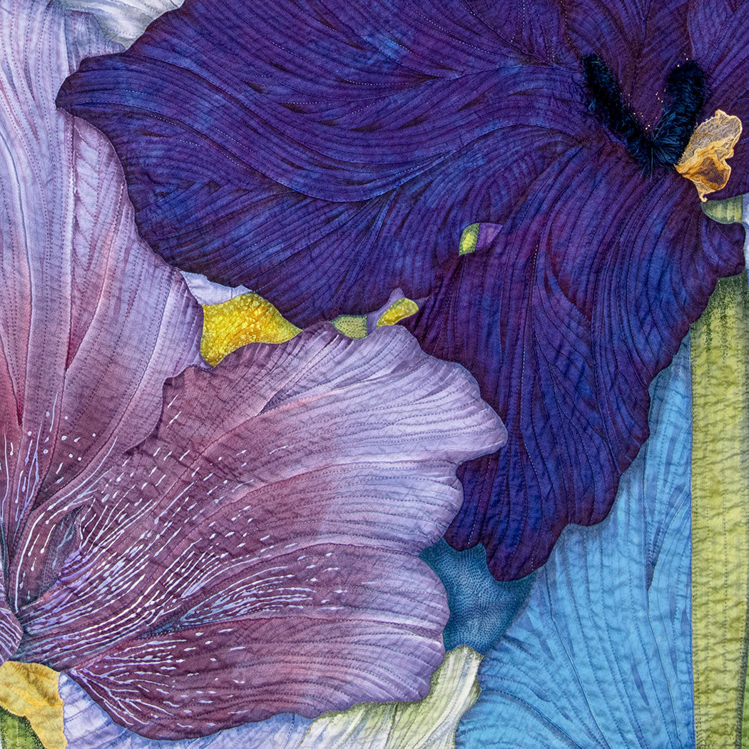 Iris II