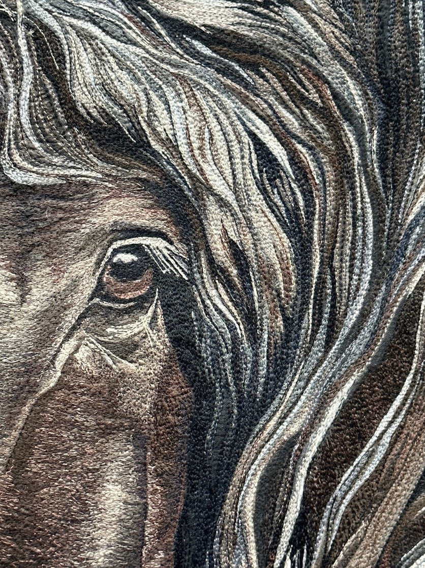 A Horse With No Name