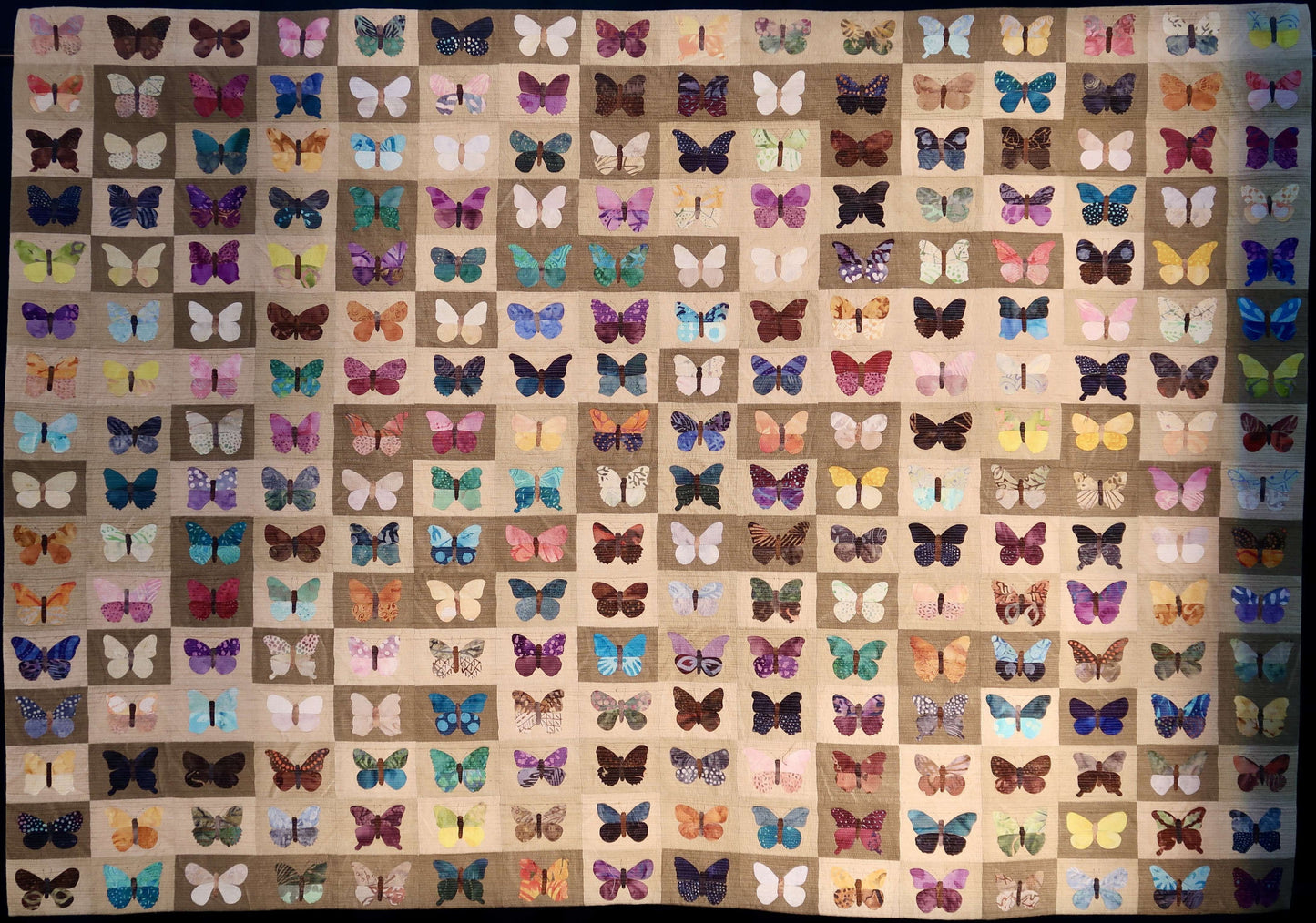 Butterflies & Moths