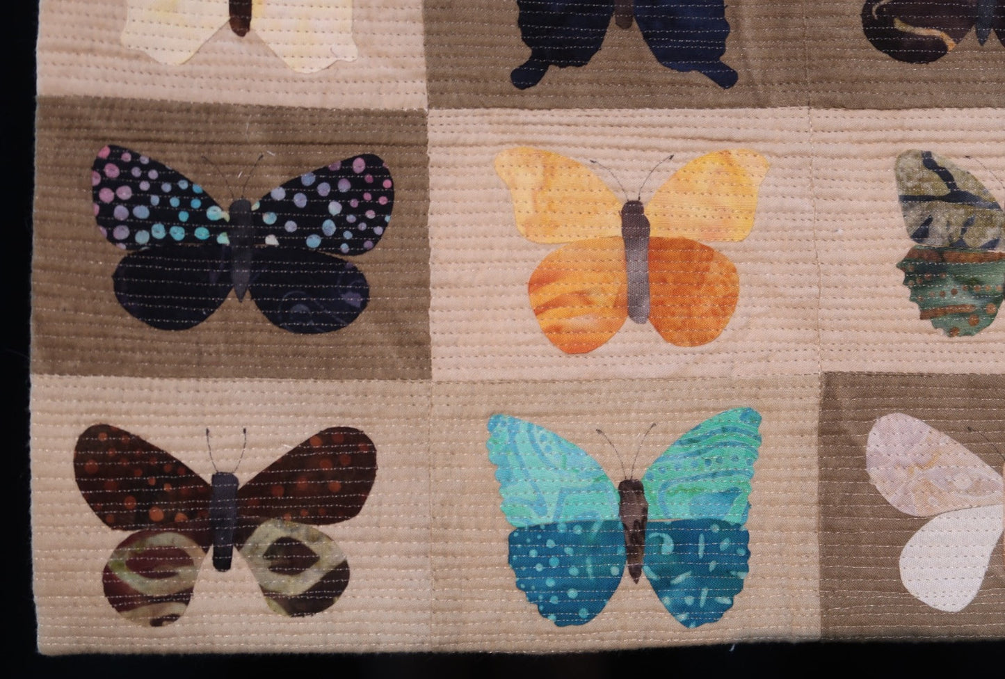 Butterflies & Moths