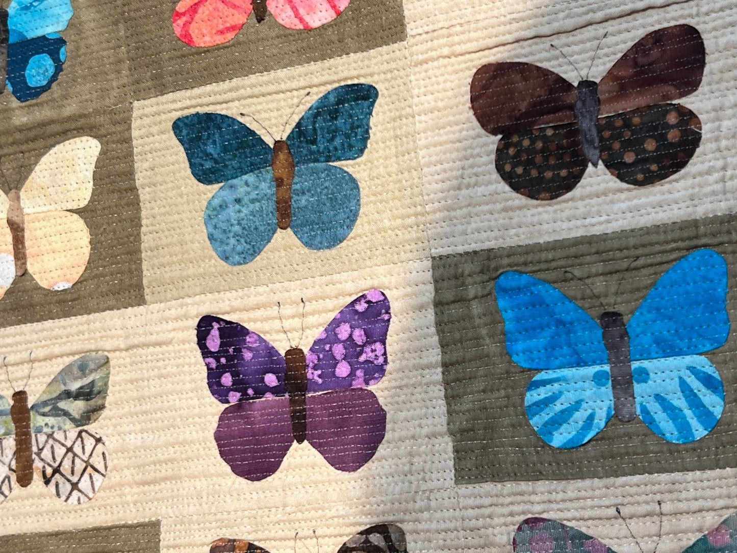 Butterflies & Moths