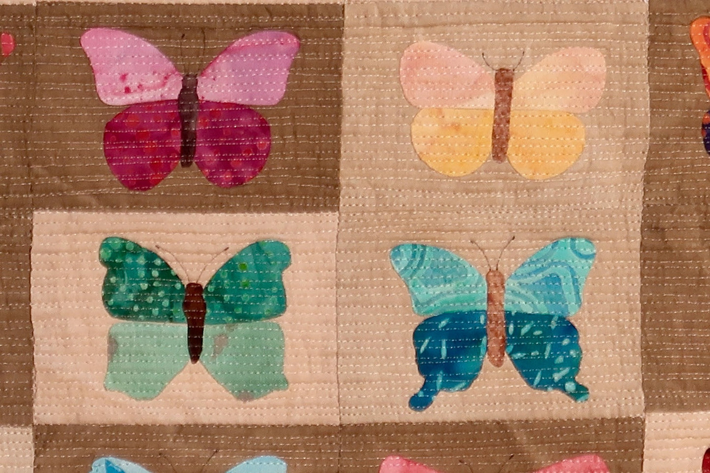Butterflies & Moths